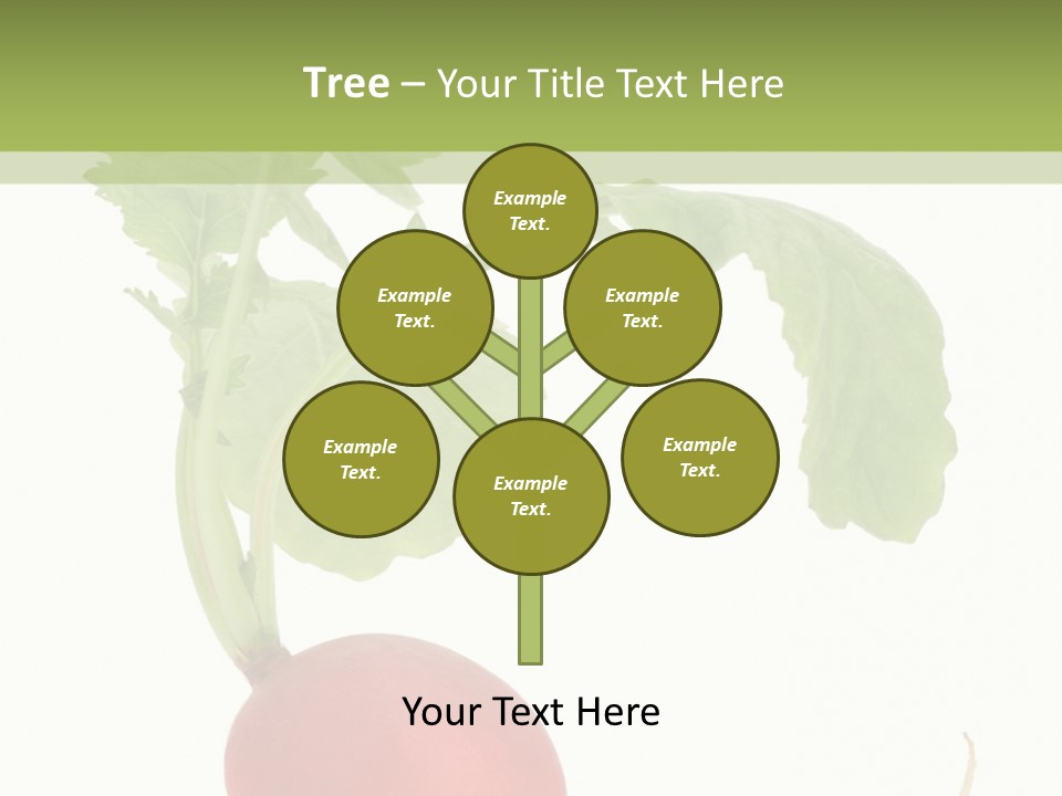 A Radish With Green Leaves On A White Background PowerPoint Template