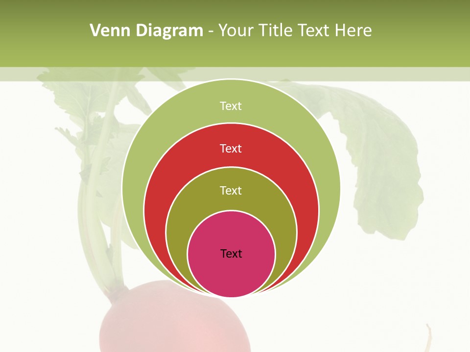 A Radish With Green Leaves On A White Background PowerPoint Template