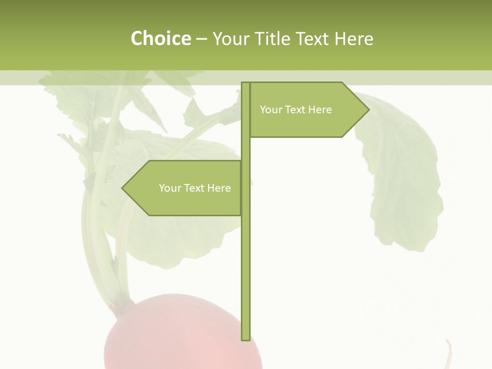A Radish With Green Leaves On A White Background PowerPoint Template