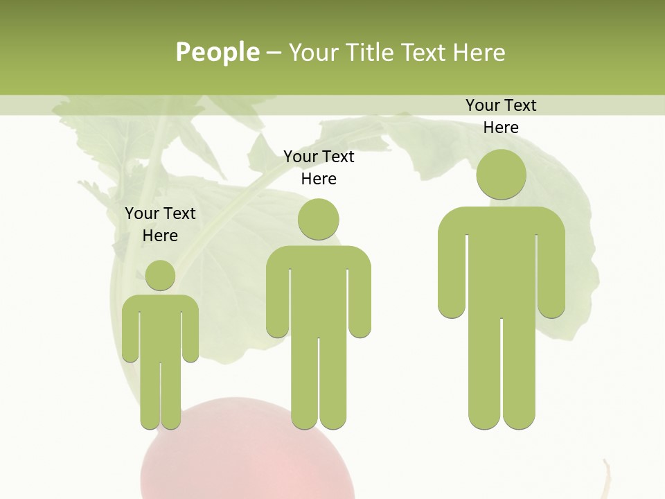 A Radish With Green Leaves On A White Background PowerPoint Template