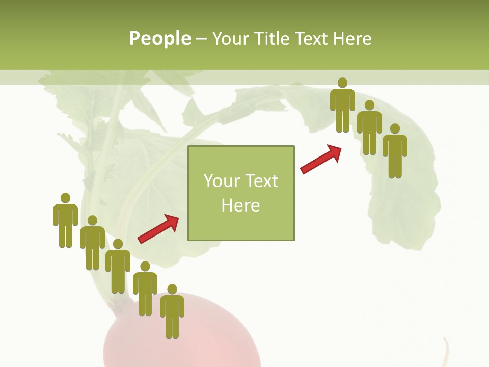 A Radish With Green Leaves On A White Background PowerPoint Template