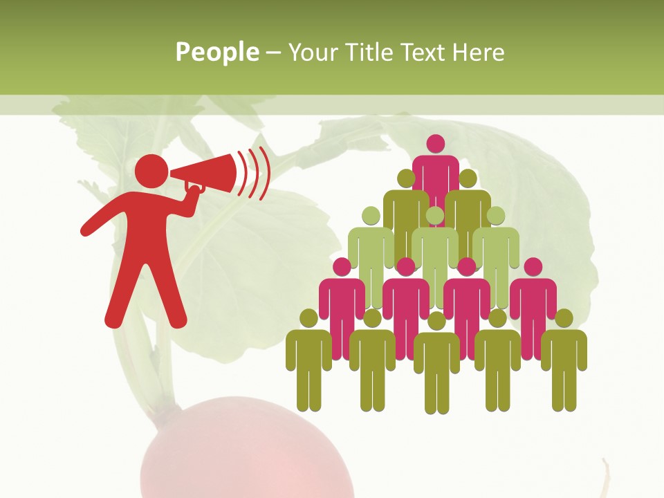 A Radish With Green Leaves On A White Background PowerPoint Template