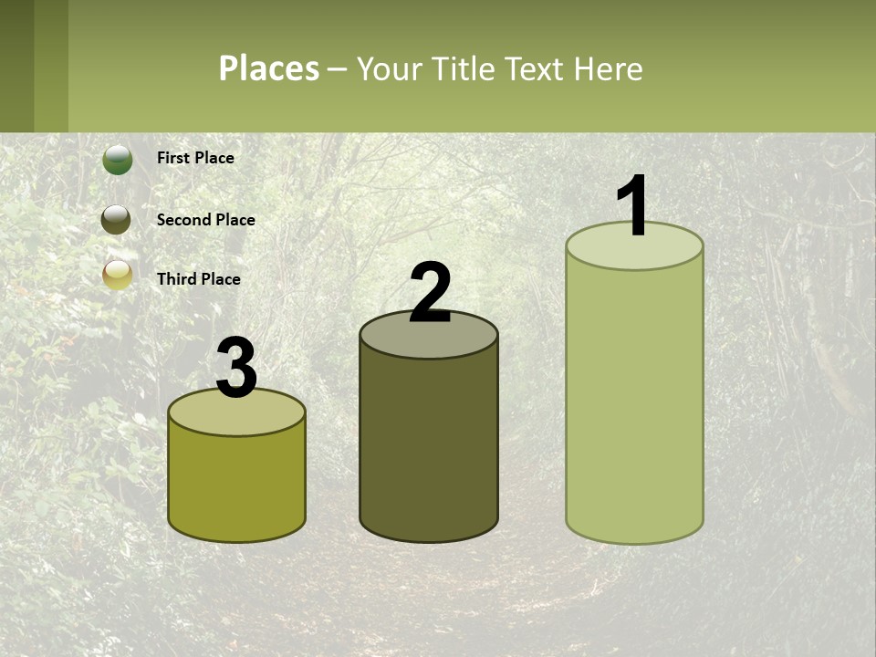 A Path In The Middle Of A Forest With Lots Of Trees PowerPoint Template