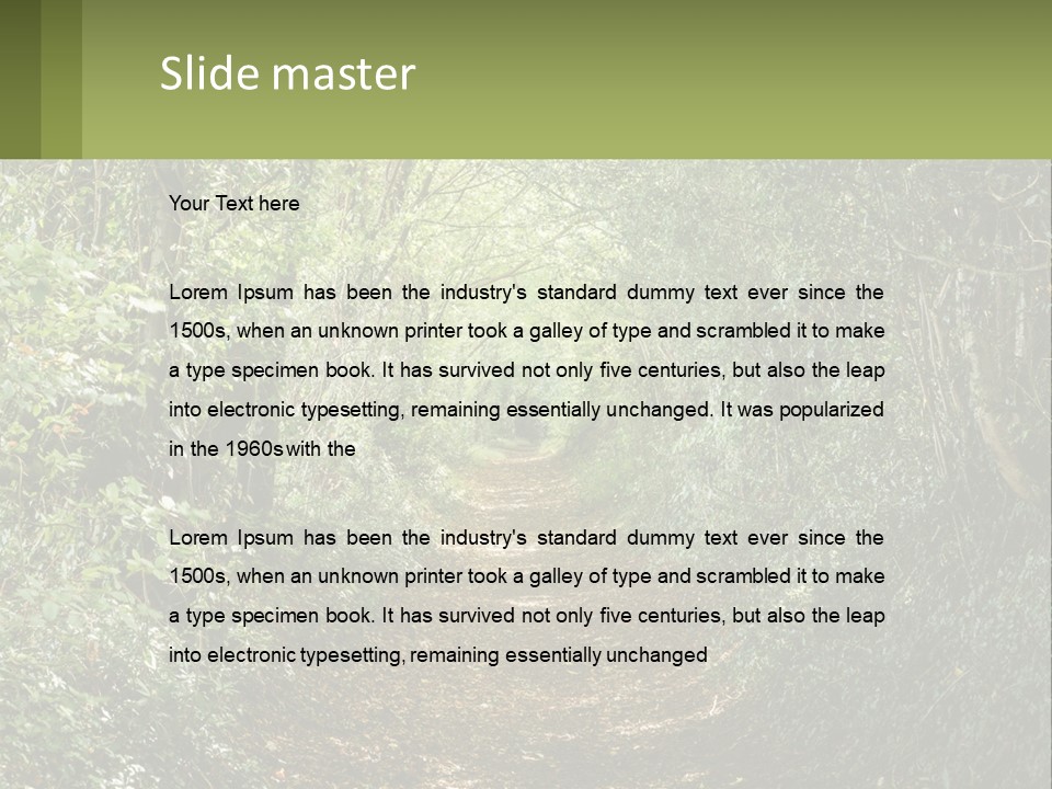 A Path In The Middle Of A Forest With Lots Of Trees PowerPoint Template