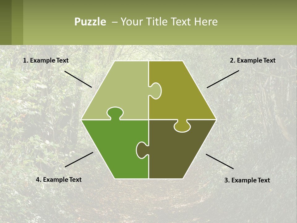 A Path In The Middle Of A Forest With Lots Of Trees PowerPoint Template