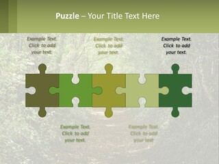 A Path In The Middle Of A Forest With Lots Of Trees PowerPoint Template