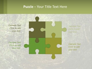 A Path In The Middle Of A Forest With Lots Of Trees PowerPoint Template