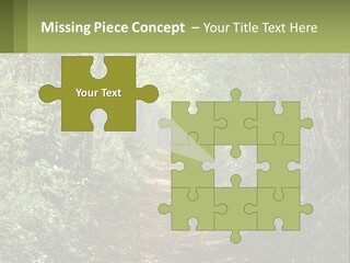 A Path In The Middle Of A Forest With Lots Of Trees PowerPoint Template