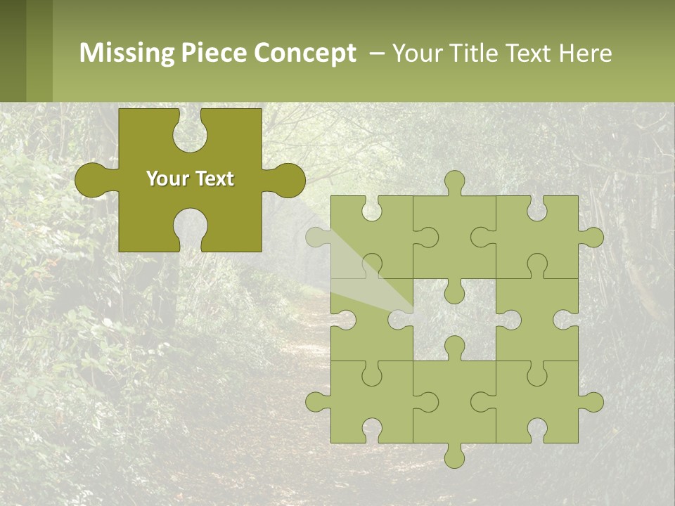 A Path In The Middle Of A Forest With Lots Of Trees PowerPoint Template