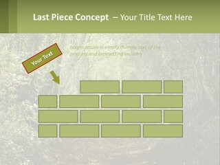 A Path In The Middle Of A Forest With Lots Of Trees PowerPoint Template