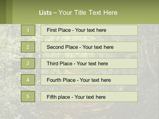 A Path In The Middle Of A Forest With Lots Of Trees PowerPoint Template