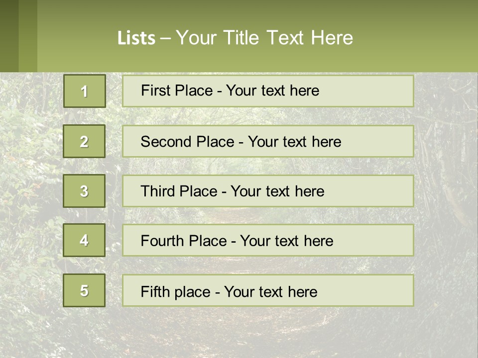 A Path In The Middle Of A Forest With Lots Of Trees PowerPoint Template