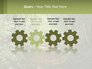 A Path In The Middle Of A Forest With Lots Of Trees PowerPoint Template
