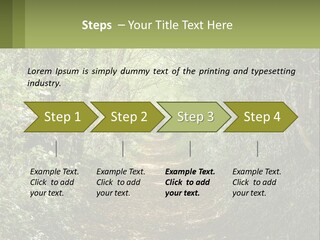 A Path In The Middle Of A Forest With Lots Of Trees PowerPoint Template