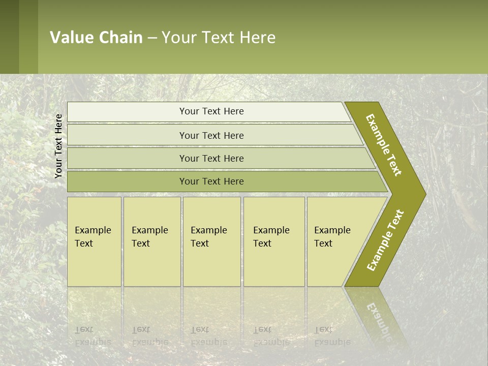 A Path In The Middle Of A Forest With Lots Of Trees PowerPoint Template