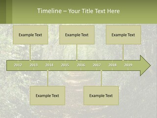 A Path In The Middle Of A Forest With Lots Of Trees PowerPoint Template