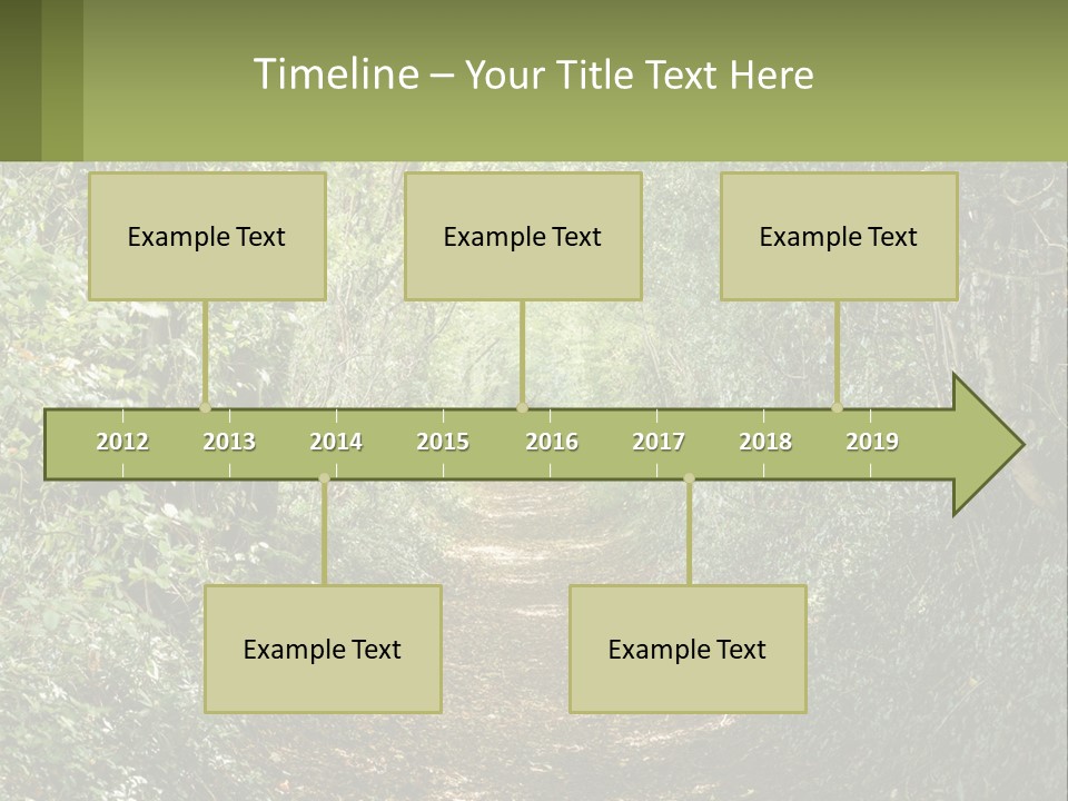 A Path In The Middle Of A Forest With Lots Of Trees PowerPoint Template