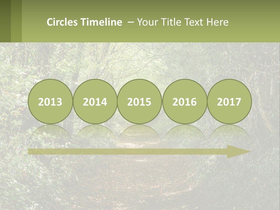 A Path In The Middle Of A Forest With Lots Of Trees PowerPoint Template