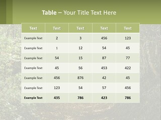A Path In The Middle Of A Forest With Lots Of Trees PowerPoint Template