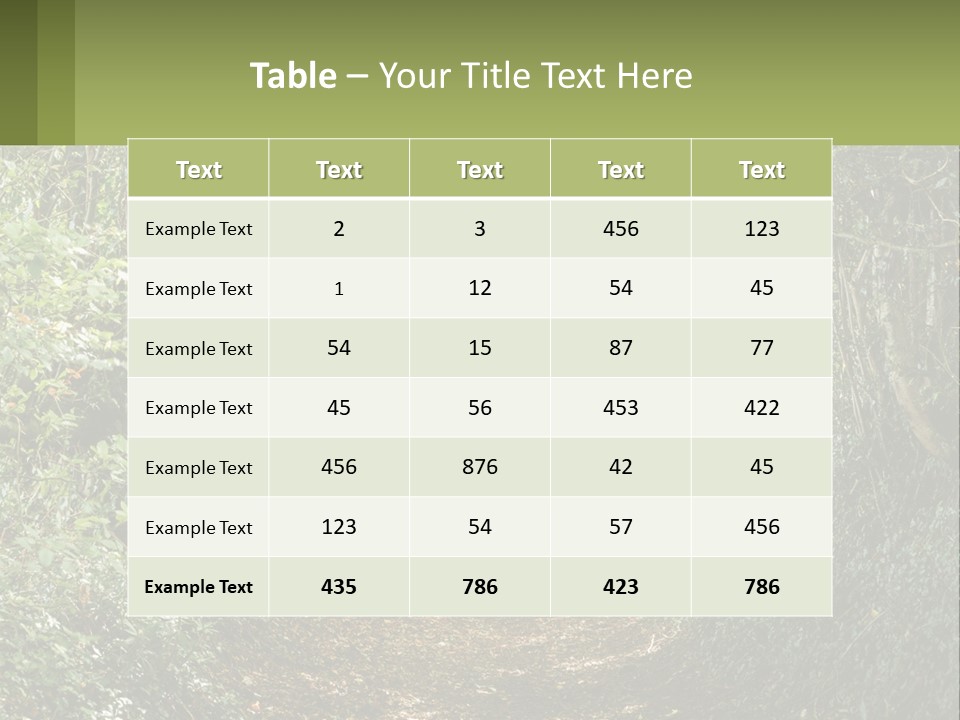 A Path In The Middle Of A Forest With Lots Of Trees PowerPoint Template