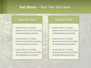 A Path In The Middle Of A Forest With Lots Of Trees PowerPoint Template