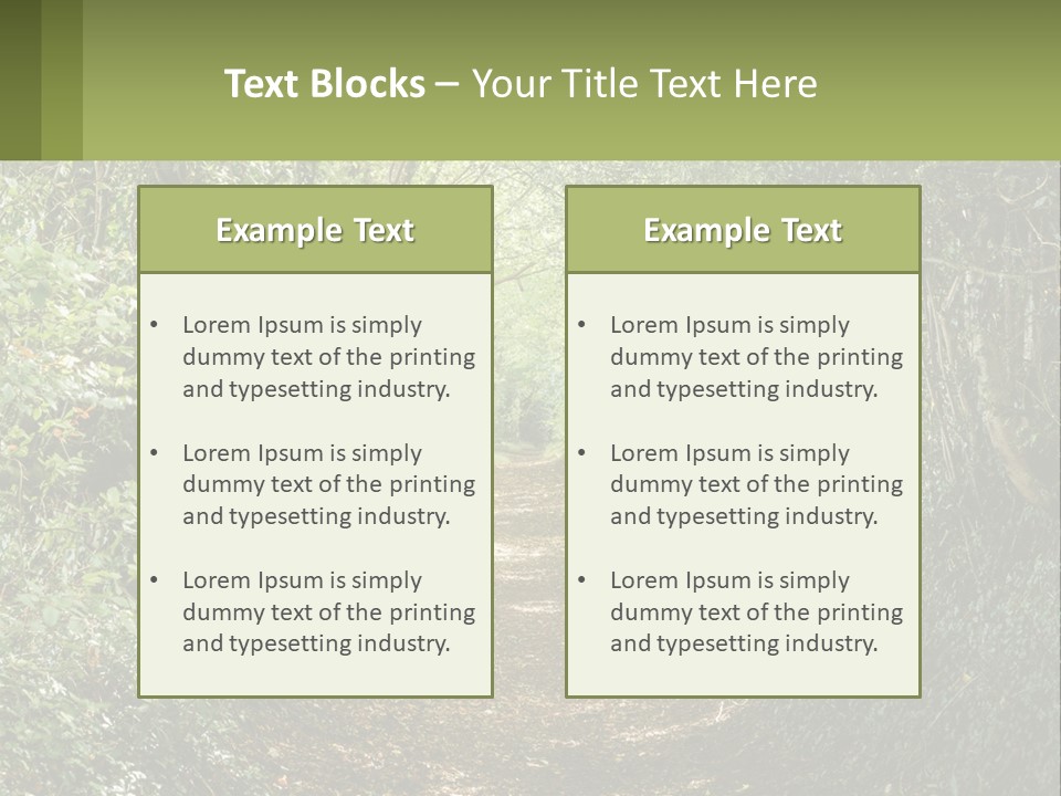 A Path In The Middle Of A Forest With Lots Of Trees PowerPoint Template