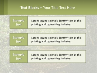 A Path In The Middle Of A Forest With Lots Of Trees PowerPoint Template