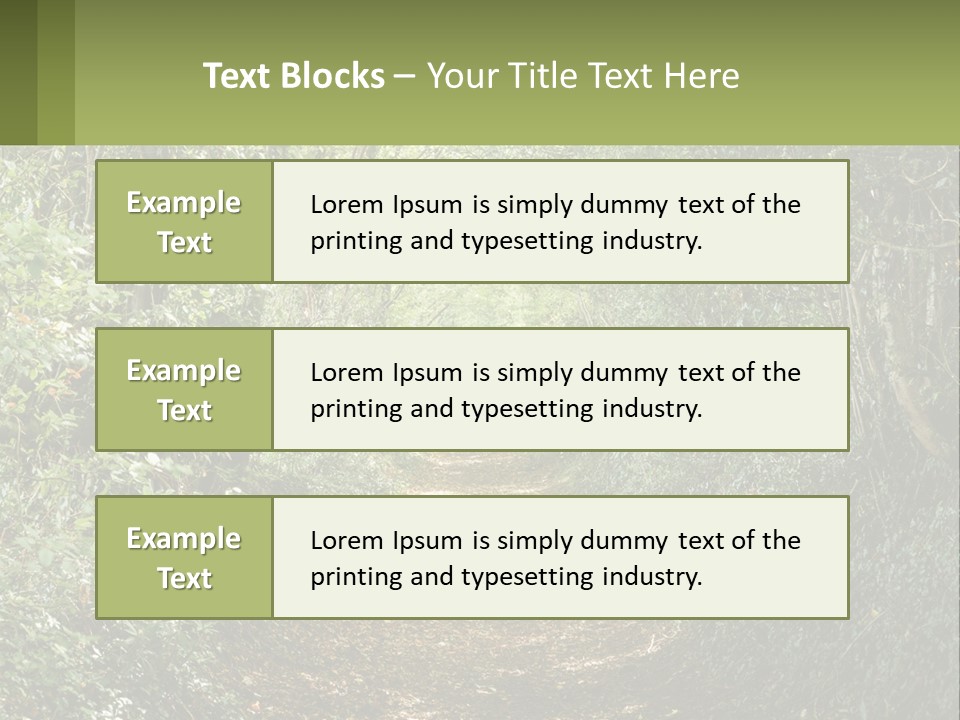 A Path In The Middle Of A Forest With Lots Of Trees PowerPoint Template