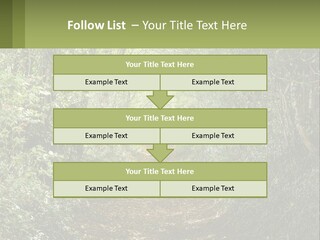A Path In The Middle Of A Forest With Lots Of Trees PowerPoint Template