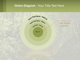 A Path In The Middle Of A Forest With Lots Of Trees PowerPoint Template
