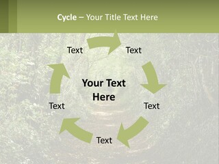 A Path In The Middle Of A Forest With Lots Of Trees PowerPoint Template