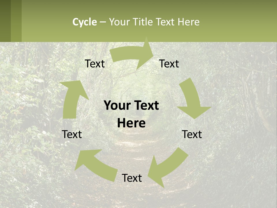 A Path In The Middle Of A Forest With Lots Of Trees PowerPoint Template