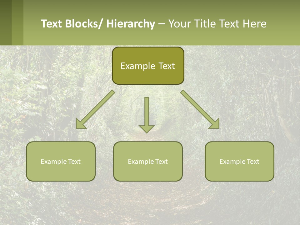 A Path In The Middle Of A Forest With Lots Of Trees PowerPoint Template