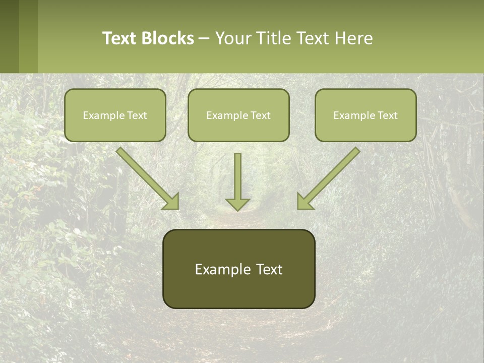 A Path In The Middle Of A Forest With Lots Of Trees PowerPoint Template