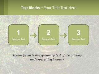 A Path In The Middle Of A Forest With Lots Of Trees PowerPoint Template