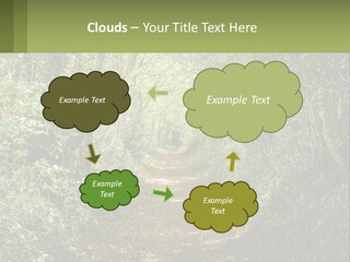 A Path In The Middle Of A Forest With Lots Of Trees PowerPoint Template
