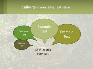 A Path In The Middle Of A Forest With Lots Of Trees PowerPoint Template