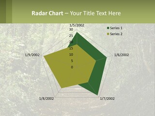 A Path In The Middle Of A Forest With Lots Of Trees PowerPoint Template