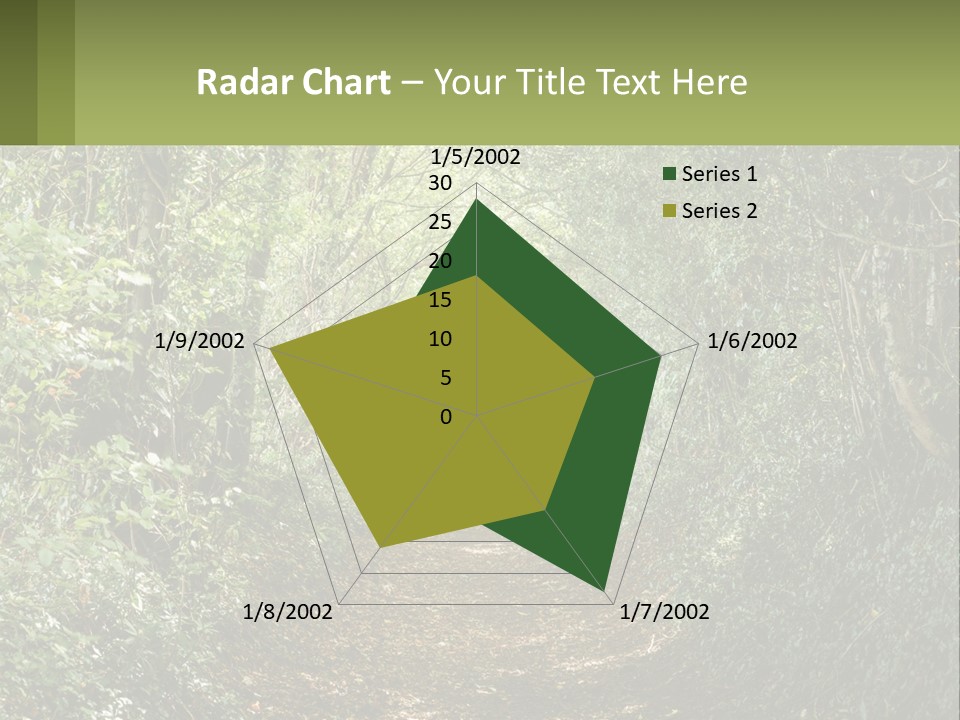 A Path In The Middle Of A Forest With Lots Of Trees PowerPoint Template