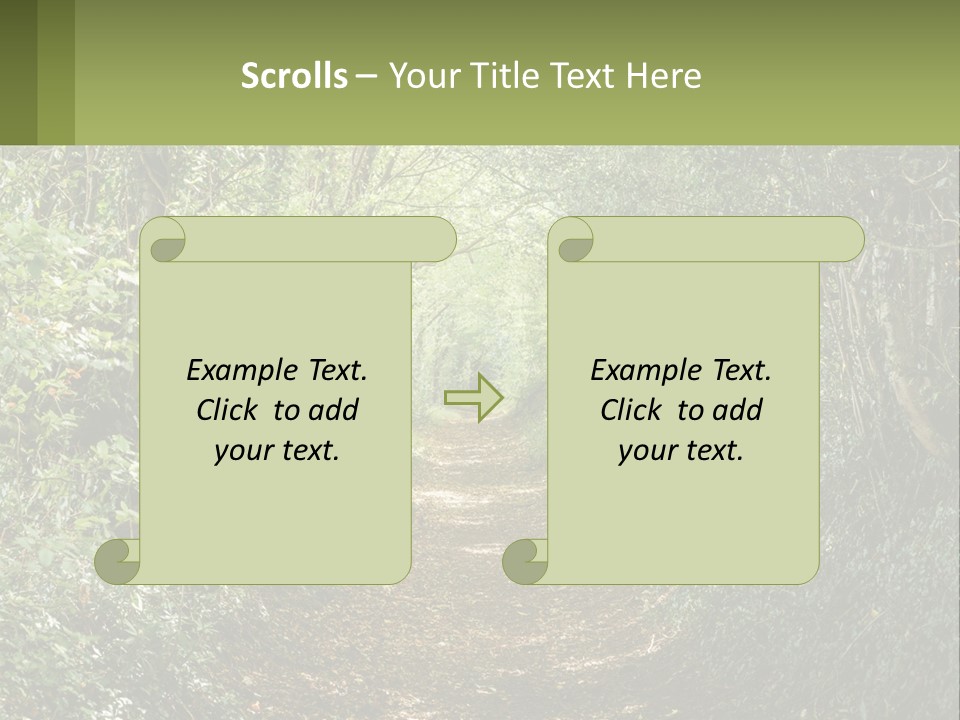 A Path In The Middle Of A Forest With Lots Of Trees PowerPoint Template