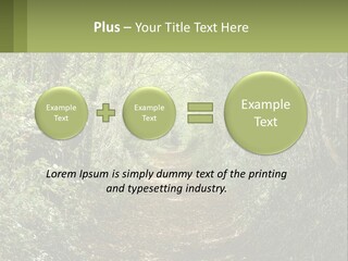 A Path In The Middle Of A Forest With Lots Of Trees PowerPoint Template