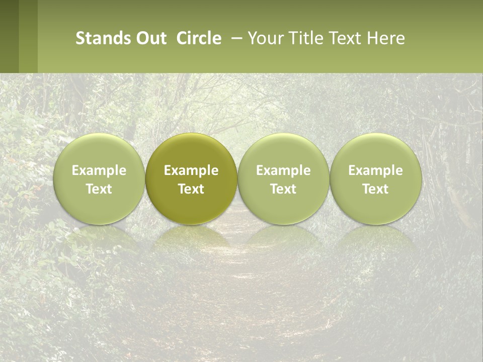 A Path In The Middle Of A Forest With Lots Of Trees PowerPoint Template