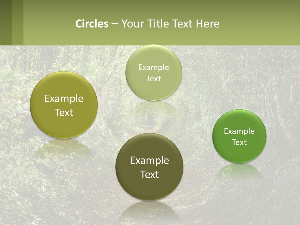 A Path In The Middle Of A Forest With Lots Of Trees PowerPoint Template