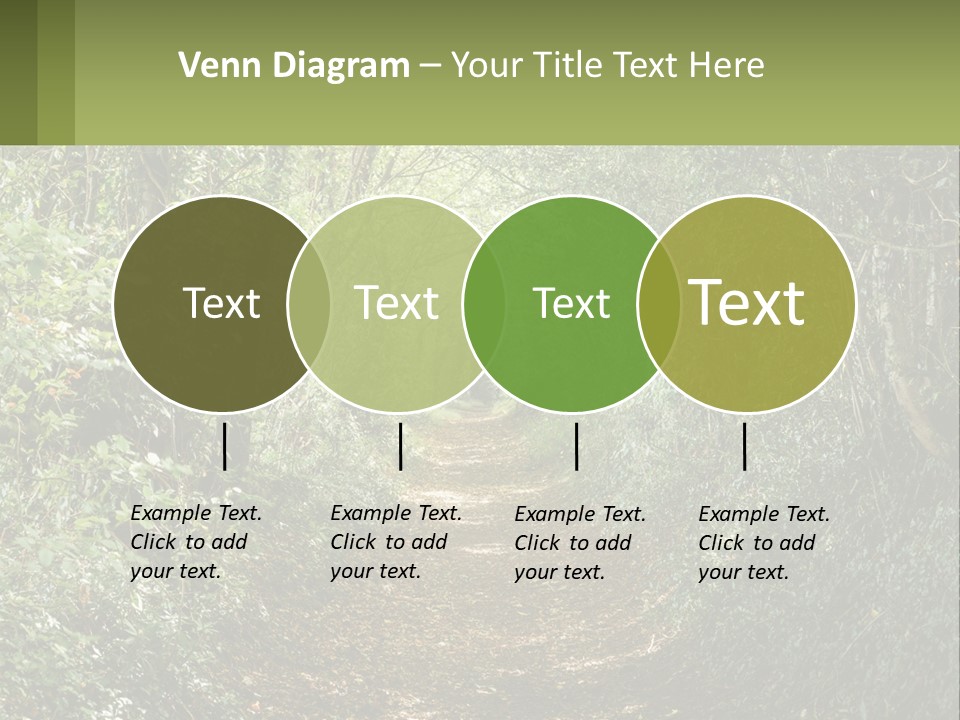A Path In The Middle Of A Forest With Lots Of Trees PowerPoint Template