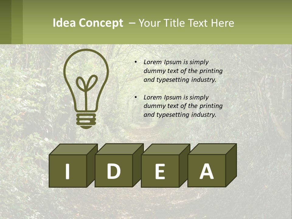 A Path In The Middle Of A Forest With Lots Of Trees PowerPoint Template
