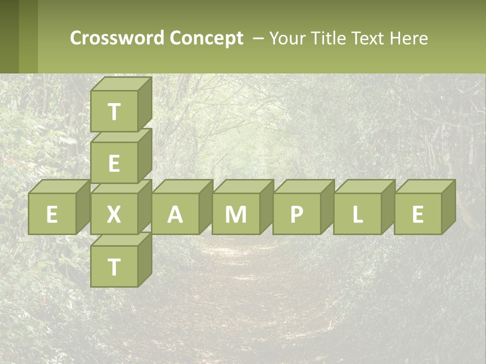 A Path In The Middle Of A Forest With Lots Of Trees PowerPoint Template