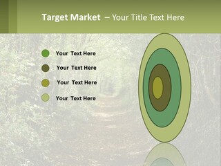 A Path In The Middle Of A Forest With Lots Of Trees PowerPoint Template