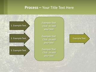 A Path In The Middle Of A Forest With Lots Of Trees PowerPoint Template