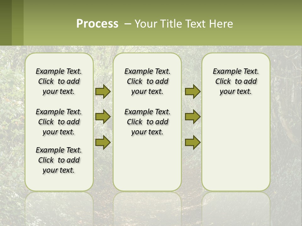 A Path In The Middle Of A Forest With Lots Of Trees PowerPoint Template
