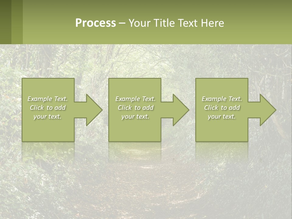 A Path In The Middle Of A Forest With Lots Of Trees PowerPoint Template